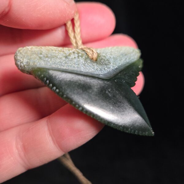 Cav24 Shark, mako, tiger shark, tooth, niho, pounamu, taonga (9) Cav24 Shark, mako, tiger shark, tooth, niho, pounamu, taonga (9)