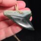 Cav24 Shark, mako, tiger shark, tooth, niho, pounamu, taonga (9)