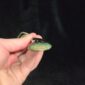 Dav27, pounamu, taonga, hei matau, hook, kawakawa. jade, nephrite (2)