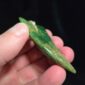 Dav29 Flower Jade, niho, tooth, taniwha, taonga, pounamu, jade (7)