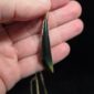Dav32 Roimta, kawakawa, taonga, pounamu, jade (8)