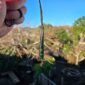 Dav33 pounamu, jade, taonga, roimata, kawakawa (6)