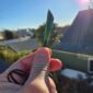 Dav33 pounamu, jade, taonga, roimata, kawakawa (7)
