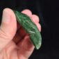Dav34 Niho, kawakawa, pounamu, taonga, jade, koru (9)