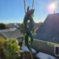 Dav36 taonga, pounamu, manaia, jade, kawakawa (10)