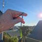 Dav37 Taonga, Pounamu, jade, roimata, kahurangi (7)