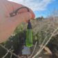 Cam166 Roimata, kawakawa, pounamu, taonga, jade, (5)