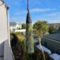 Cam167 totoweka, pounamu, karengo, jade, roimata (3)