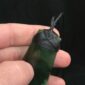 cam164 kawakawa, toki, pounamu, jade, taonga (1)