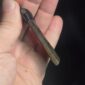 Cam 174 toki, jade, pounamu, taonga, kiwifruit, hapopo, inanga (8)